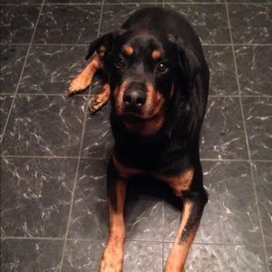 Meet your Posher, Mary